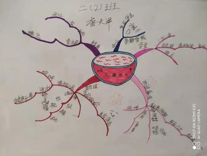 《难忘的泼水节》思维导图