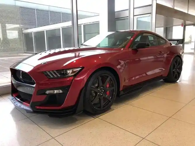 身上有眼镜蛇纹身,名号野马,但却是一头公牛.