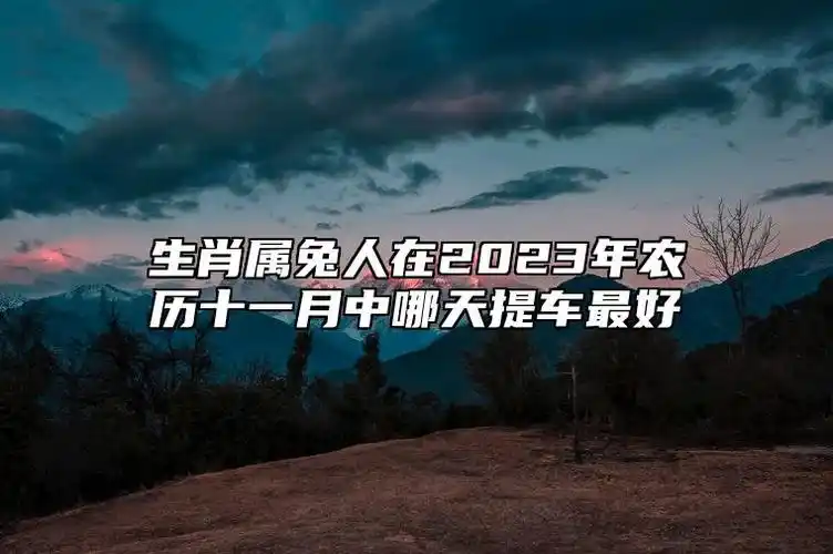 生肖属兔人在2023年农历十一月中哪天提车最好?