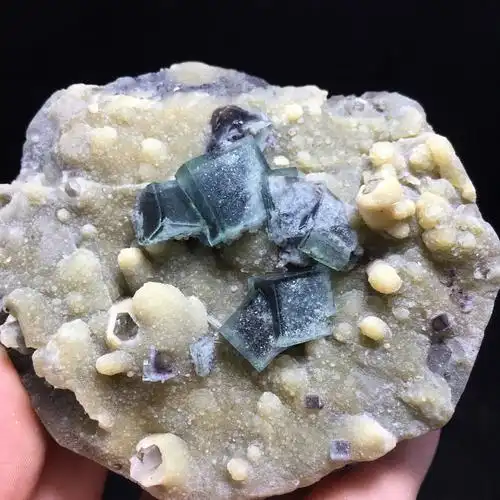 内蒙绿色交代萤石共生云母