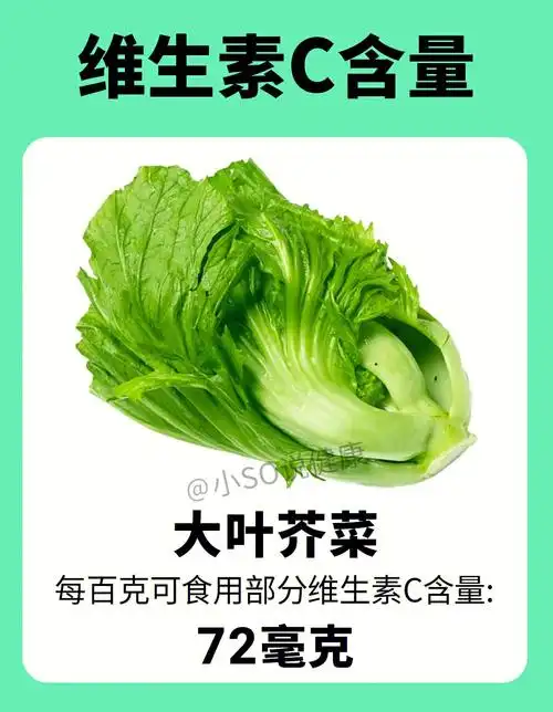 九种绿色蔬菜维生素c含量刺梨是最靓的崽