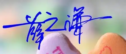 请告诉我,薛之谦的签名是那样写的吗*[薛之谦]几个字*艺术签名参考