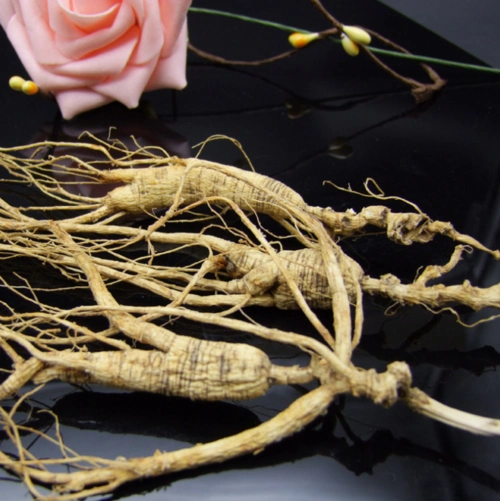 吉林特产 东北林下籽山参16年参龄品质中高档干参