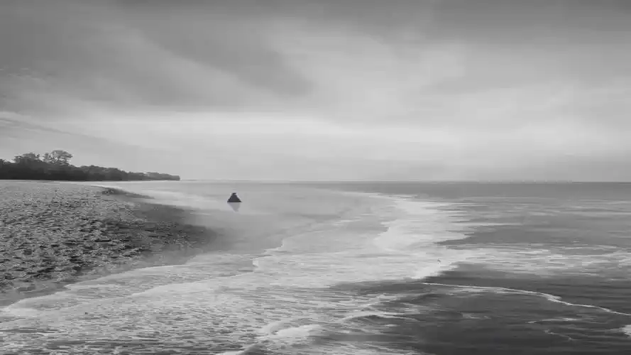 哪有什么避风港心情不好的时候都是一个人在撑着