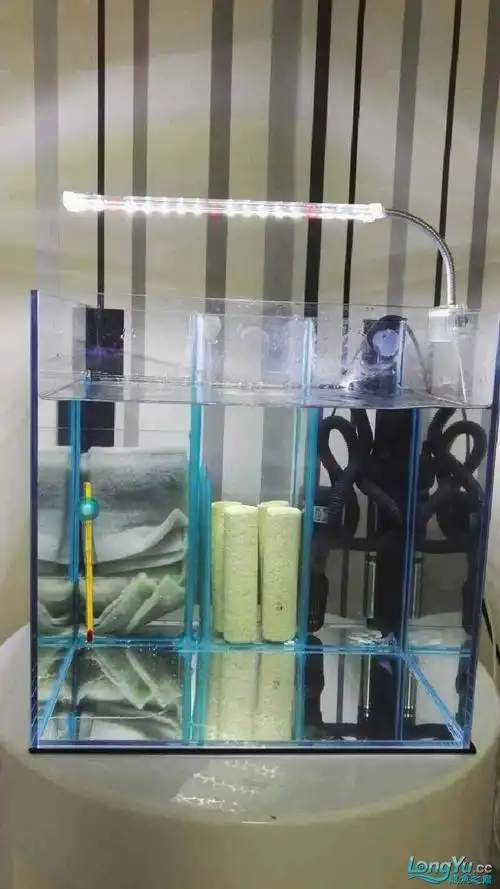 滤材使用摆放杂谈