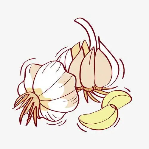 手绘水彩大蒜食物免抠图