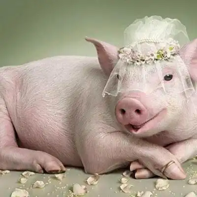 搞笑一家人,牛家乐事多