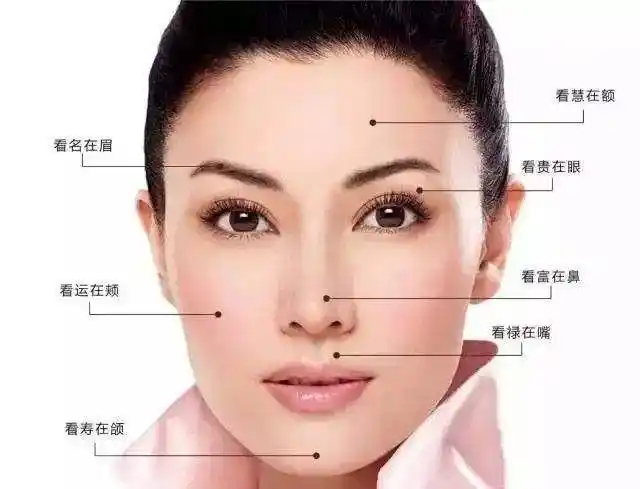 面相鼻子大(面相鼻子大好还是鼻子小好)