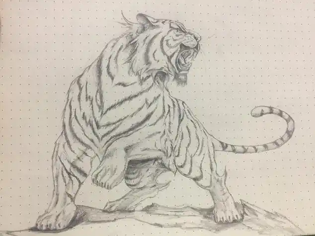 老虎素描图片 老虎素描图片霸气