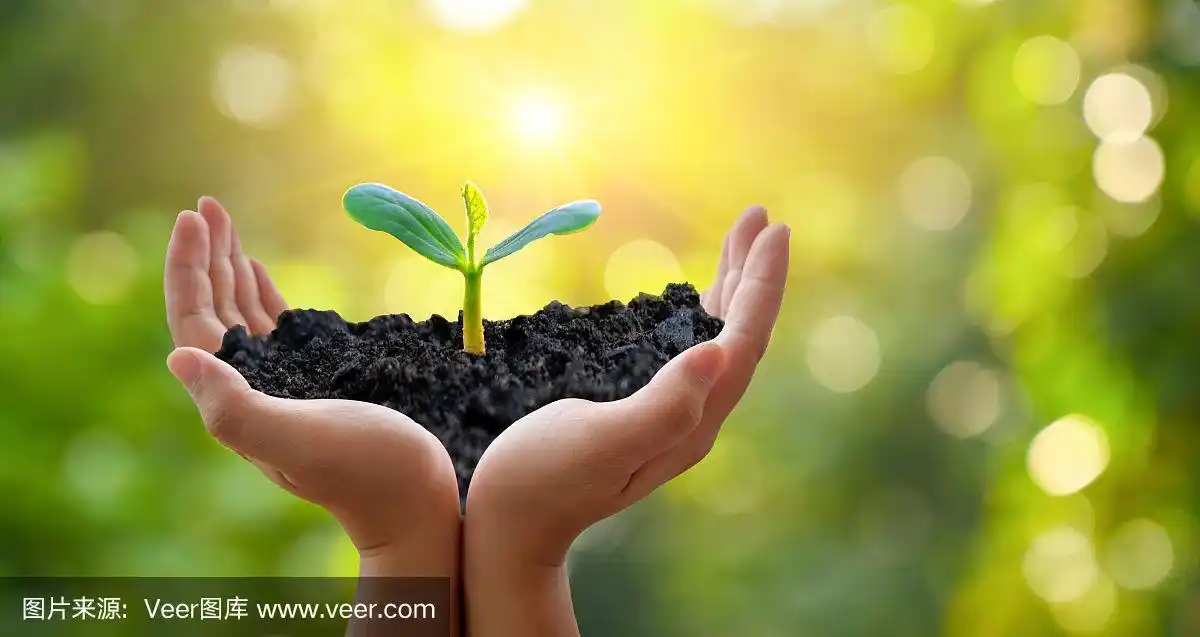 散科绿背景女性手捧树对自然的田野草森林保护理念