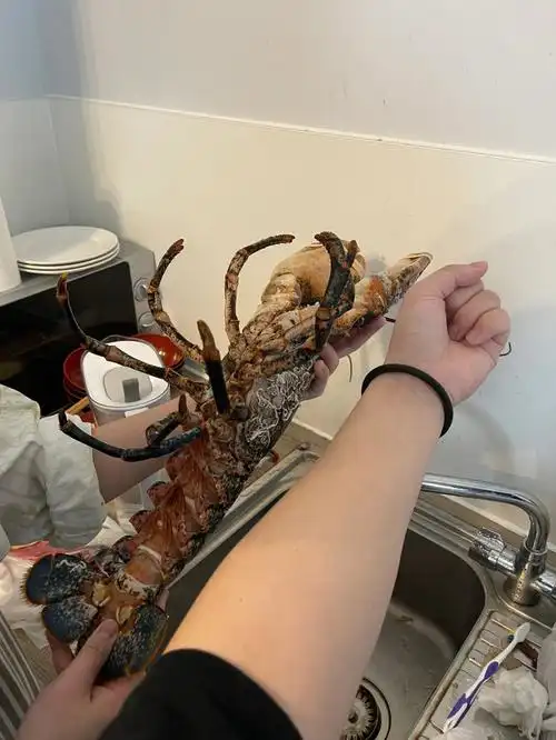 终于吃上大龙虾