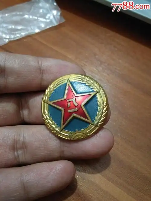 55式陆*大帽徽
