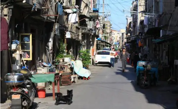繁华上海背后的穷地方——上海十大穷街之首闵行七宝老街闵大荒滚地龙