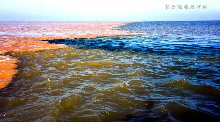 【转载】实拍:黄河口"河海交汇"的壮美大片