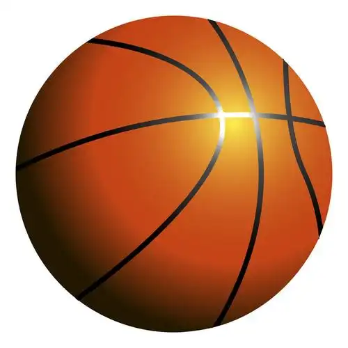 隔绝,篮球,球,白色背景,矢量,插画