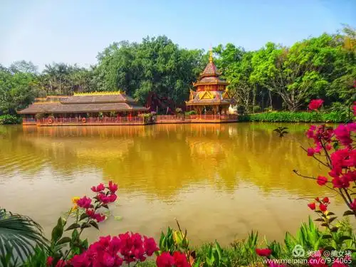 旅行记忆之西双版纳景洪曼听公园