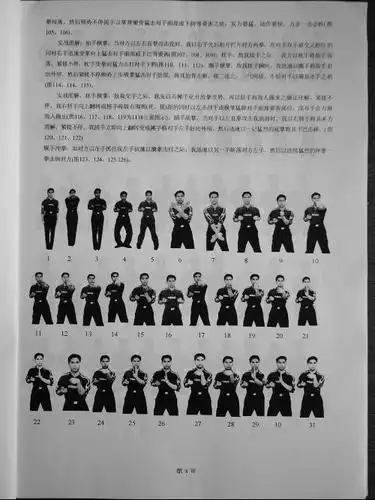 谁有带图的拳谱,完整的,除了太极的,适合年轻人学的,谢谢.