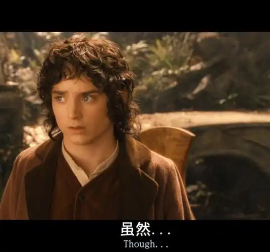 魔戒1中 影片到什么时间决定魔戒远征队