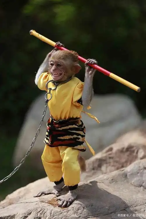 孙悟空本质是什么,他那么多神通异能是天生自带还是修炼而来的?