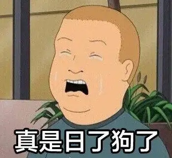 真是日了狗了 - king of the hill 一家之主表情包_卡通表情