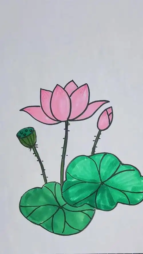 马克笔画一朵荷花吧-度小视