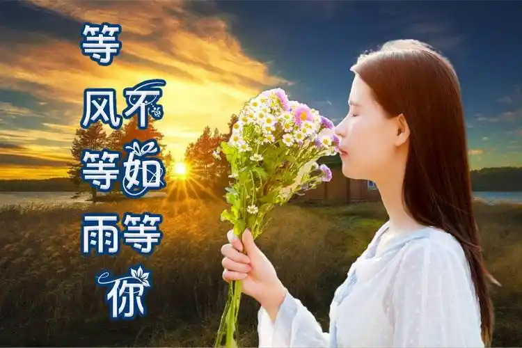 伤感情歌等风等雨不如等你是你拨动我的心弦给你一生的爱恋