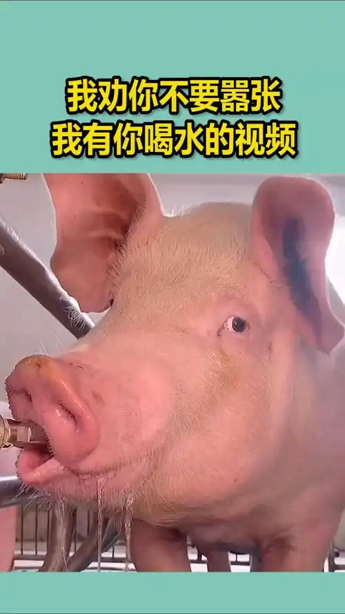 我要上热门#我劝你不要嚣张,我有你喝水的视频