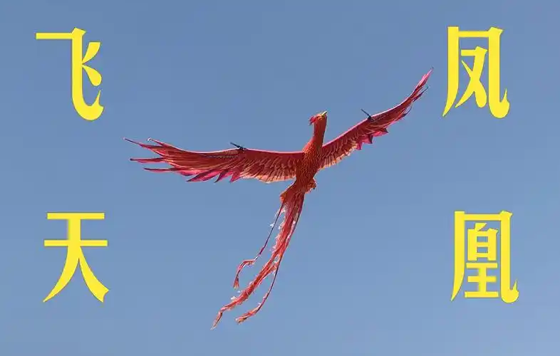 飞天凤凰