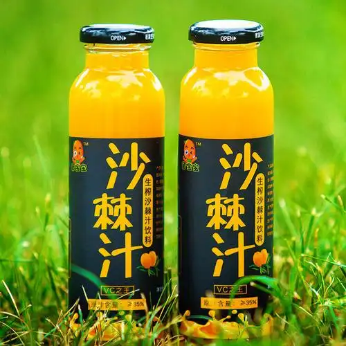 【网红饮料】野生生榨沙棘果汁沙棘汁0脂肪饮料批发300ml*4/*8瓶