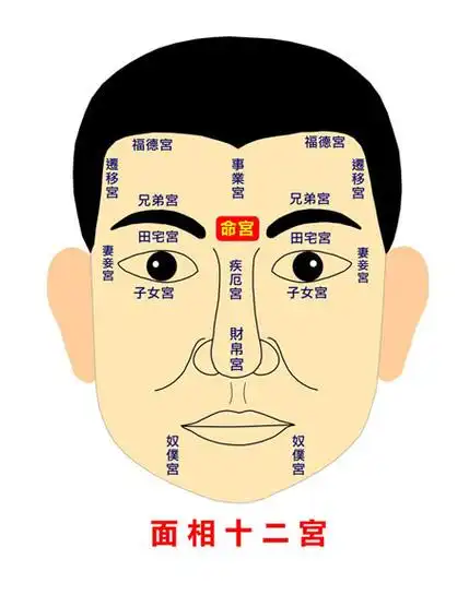「面相一眼断口诀」看面相十二宫知命运,眉毛大扫帚,娣妹有八九