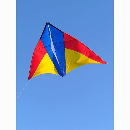 青云鸟风筝潍坊王侉子软伞布碳素杆微风大型成人三角形高级专业