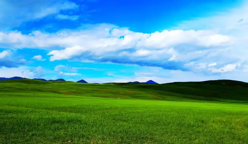 清晰迷人的草原自然风光