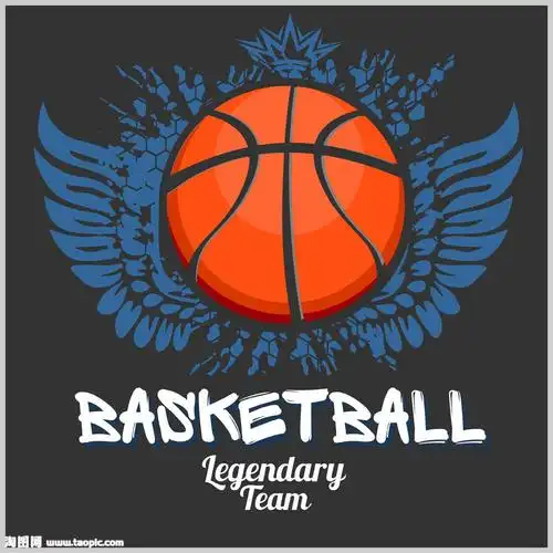 运动,美国,篮球,会徽,徽章,翅膀,英文,星星,设计,体育运动,生活百科