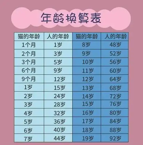 而进入老年期的布偶猫,无论是生活,饮食,外貌等方面都会发生一些变化