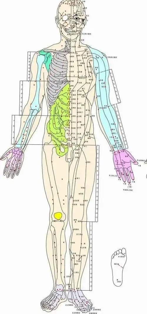 研究发现茶叶或是打通人体经络的有效食品你最爱喝什么茶