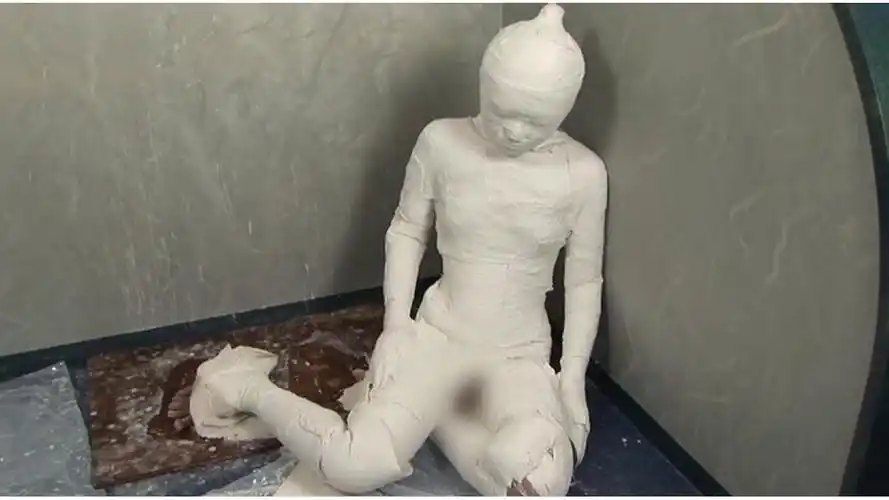 石膏承蒙为了拍摄毛(发)附有变得困难,成为白板.