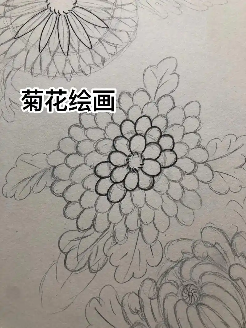 其二绘画#菊花绘画教程 #手稿分享 #爱画画的小朋友 - 抖音