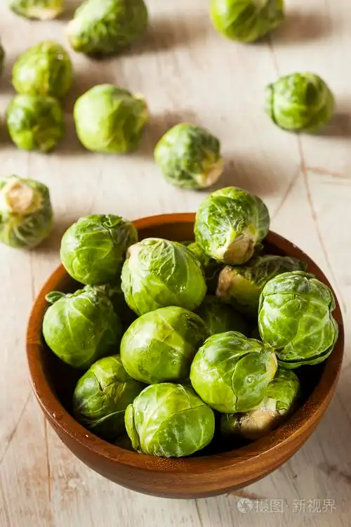 有机绿色甘蓝小包菜