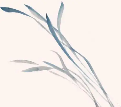 水草的4种画法,让水墨画创作更上一层楼