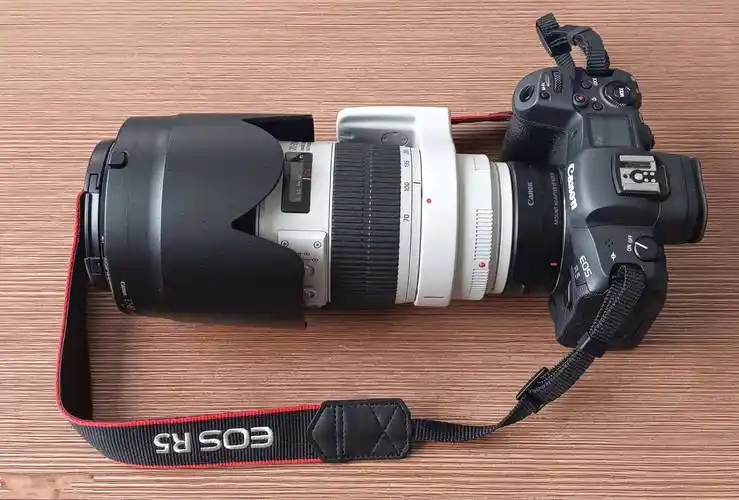 终于入手了佳能r5源于四个优点