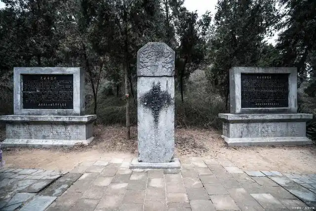 《永恒圣王》看了就离不开的赶脚