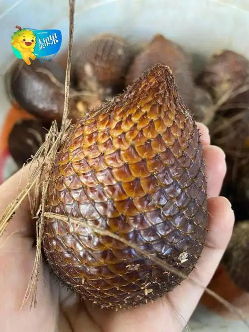 奇奇怪怪的泰国水果之蛇皮果