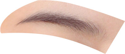 证件照素材五官眉毛素材五官素材1眉毛女