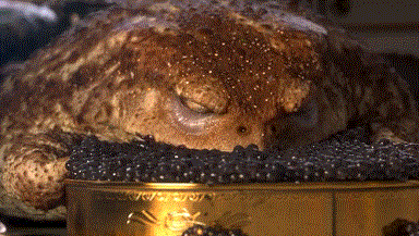 384_217gif 动态图 动图