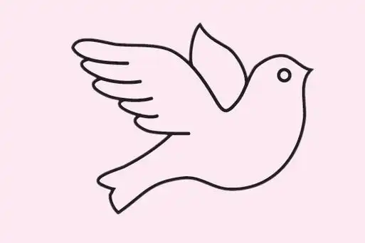 鸽子简笔画画法步骤图片大全