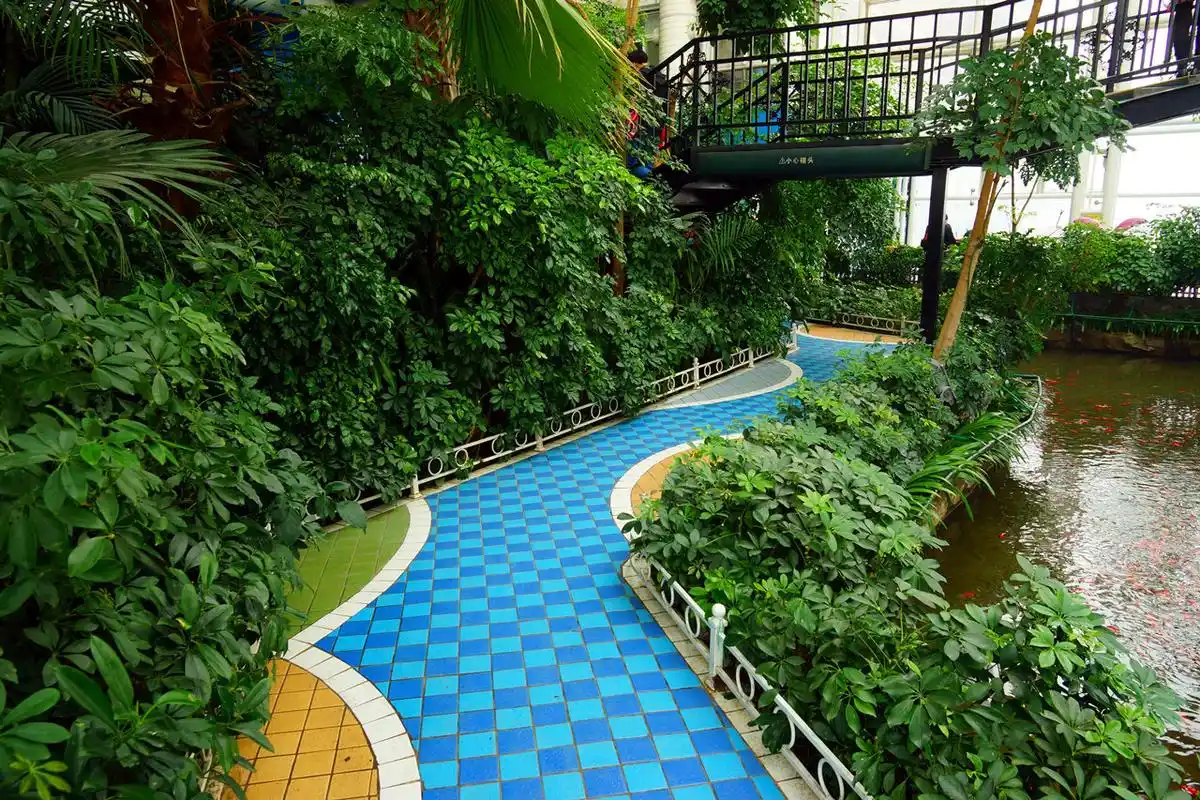 石家庄 空中花园