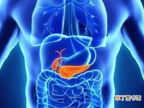 文章插图(网络图)急性胆囊炎常发生于进食大量高脂食物后 , 右上腹