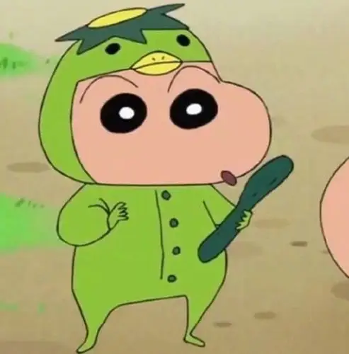 蜡笔小新°丨穿过的那些奇装异服