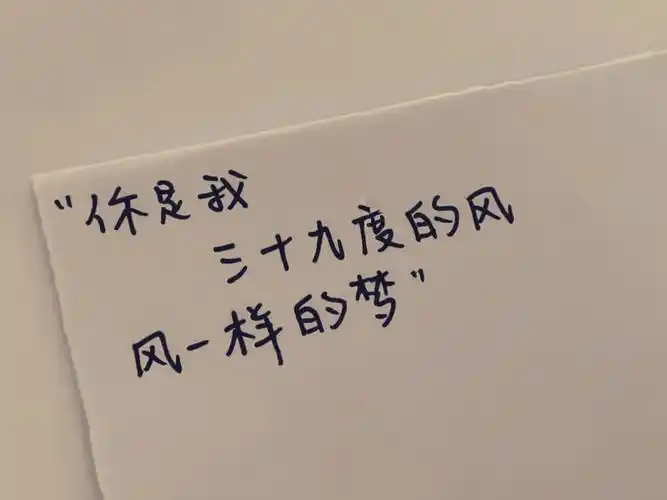 手写文案温柔文艺的爱情短句