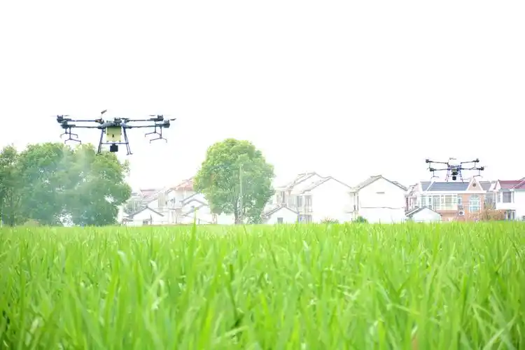 青浦区练塘镇太北村_2020年示范村_上海市农业农村委员会